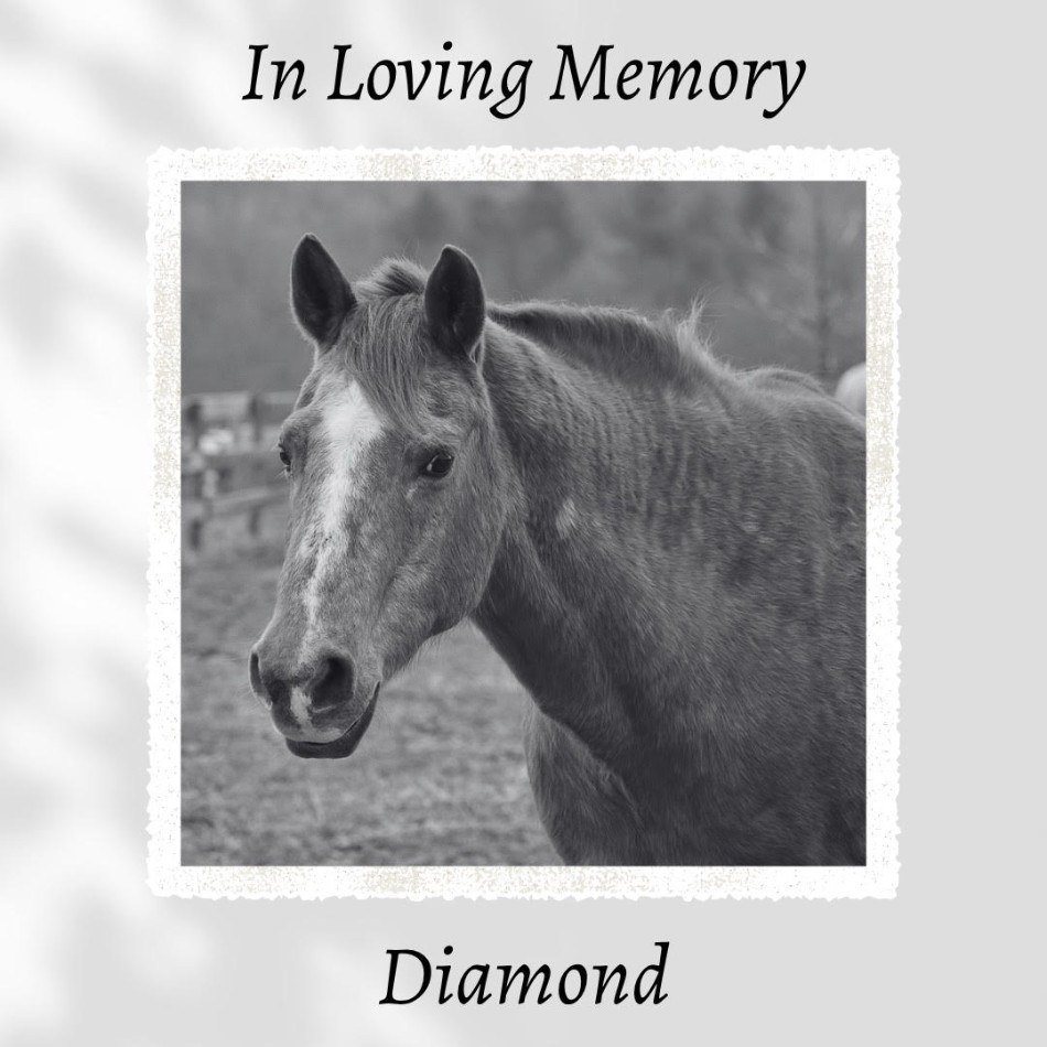 Diamond-bw.jpg