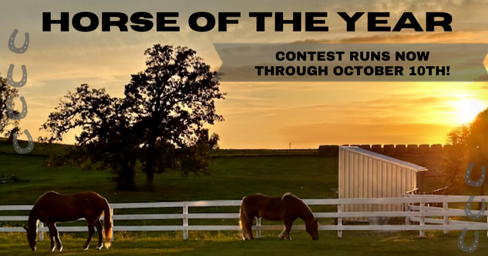 HorseofYear2026.png