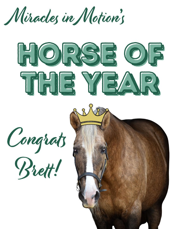 horse-of-year-2025-brett.jpg